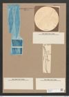Pleurosigma angulatum (Queck.) W.Sm. (de-Toni-Nr.: Genus 13, Species 1001) Zeichnungen Sammlung Grunow Nr. 1988 (NHMW-BOT-W0368833)